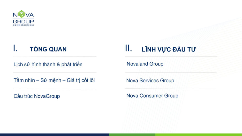 tổng quan novagroup