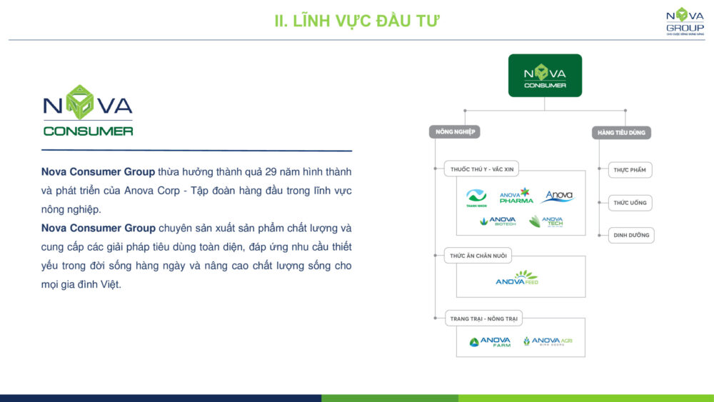 Giới thiệu Nova consumer Group