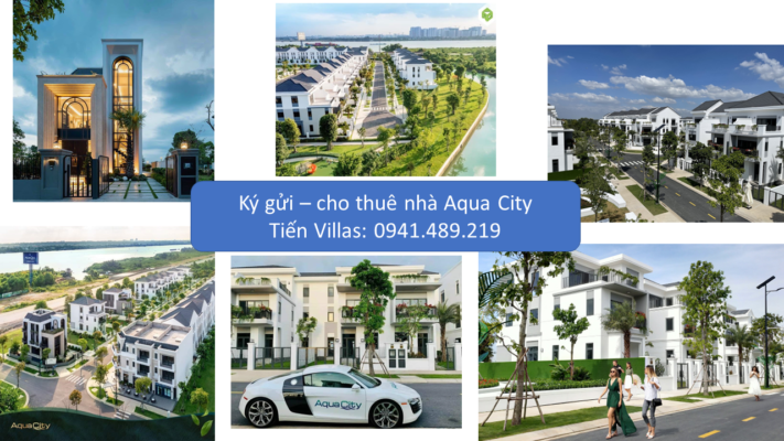 Cho thuê nhà aqua city
